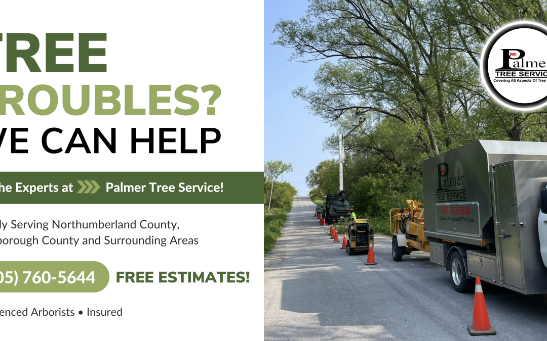 Palmer Tree Service